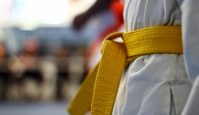 LSS Maine-Lean Six Sigma Yellow Belt LSS Maine-Lean Six Sigma Yellow Belt